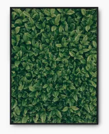 plakat-a3-30x40-w-ramie-imp-liscie-02