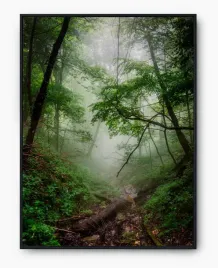 plakat-a3-30x40-w-ramie-imp-las-19