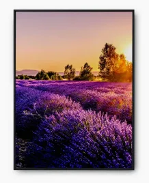 plakat-a3-30x40-w-ramie-imp-natura-19