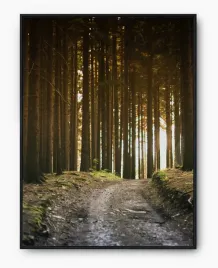 plakat-a3-30x40-w-ramie-imp-natura-13