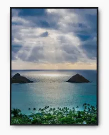 plakat-a3-30x40-w-ramie-imp-natura-15