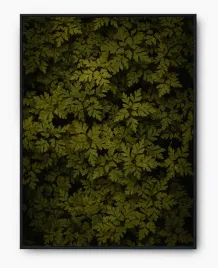 plakat-a3-30x40-w-ramie-imp-liscie-07