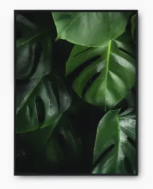 plakat-a3-30x40-w-ramie-imp-monstery-01