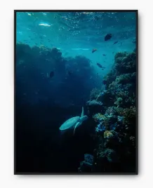 plakat-a3-30x40-w-ramie-imp-morze-04