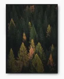 plakat-a3-30x40-w-ramie-imp-las-02