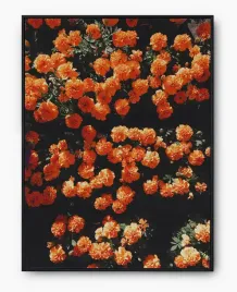 plakat-a3-30x40-w-ramie-imp-kwiaty-16