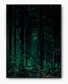 plakat-a3-30x40-w-ramie-imp-las-15