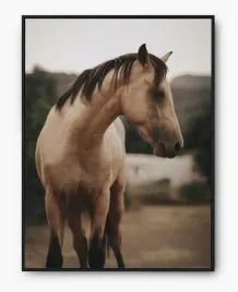 plakat-a3-30x40-w-ramie-imp-konie-18
