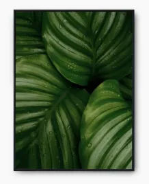 plakat-a3-30x40-w-ramie-imp-liscie-06