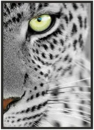 plakat-a3-30x40-w-ramie-duzo-wzorow-zwierzeta-21
