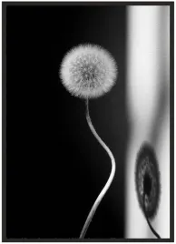 plakat-a3-30x40-w-ramie-dmuchawiec-05