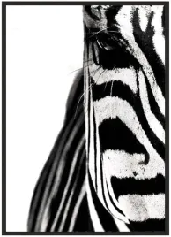 plakat-a3-30x40-w-ramie-duzo-wzorow-zwierzeta-08