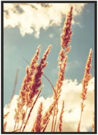 plakat-a3-30x40-w-ramie-duzo-wzorow-trawa-01