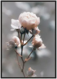 plakat-a3-30x40-w-ramie-duzo-wzorow-kwiaty-36