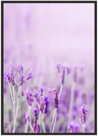 plakat-a4-21x30-w-ramie-duzo-wzorow-lawenda-02