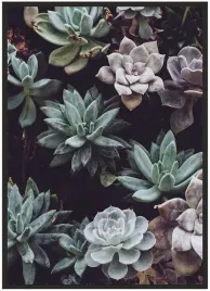 plakat-a3-30x40-w-ramie-duzo-wzorow-rosliny-08