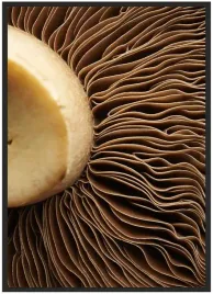 plakat-a3-30x40-w-ramie-duzo-wzorow-tekstura-15