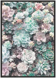 plakat-a3-30x40-w-ramie-duzo-wzorow-rosliny-03