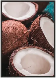 plakat-a5-13x18-w-ramie-duzo-wzorow-kokos-06