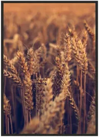 plakat-a5-13x18-w-ramie-duzo-wzorow-rosliny-23