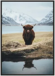 plakat-a3-30x40-w-ramie-duzo-wzorow-zwierzeta-04