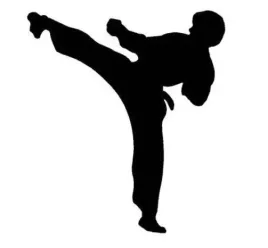 naklejka-bez-tla-inensticker-transfer-na-auto-szybe-witryne-judo-karate