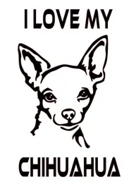 naklejka-bez-tla-inensticker-na-auto-szybe-samochod-kocham-chihuahua