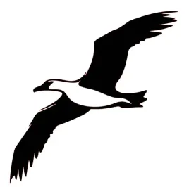 naklejka-bez-tla-inensticker-na-auto-szybe-samochod-albatros