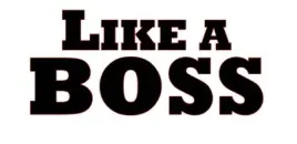 naklejka-bez-tla-na-auto-samochod-szybe-like-a-boss