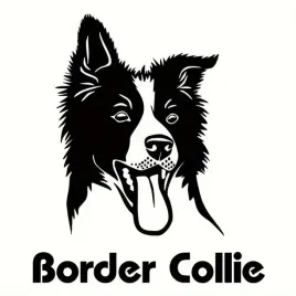 naklejka-bez-tla-na-auto-samochod-szybe-border-collie-pies