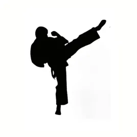 naklejka-bez-tla-na-auto-samochod-szybe-karateka-karate-judo