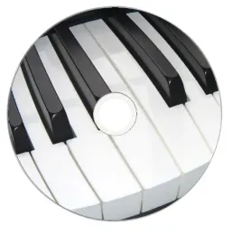 nadruk-na-plycie-maxell-dvd-r-47g-16x-015