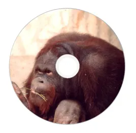 nadruk-na-plycie-maxell-cd-r-80-52x-026
