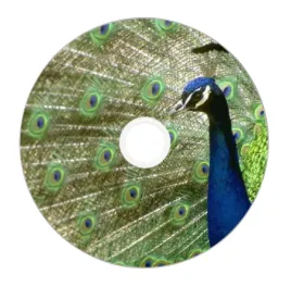 nadruk-na-plycie-maxell-dvd-r-47g-16x-032