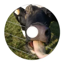 nadruk-na-plycie-maxell-cd-r-80-52x-035