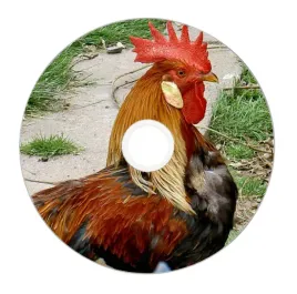nadruk-na-plycie-maxell-dvd-r-47g-16x-036