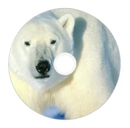 nadruk-na-plycie-maxell-dvd-r-47g-16x-038