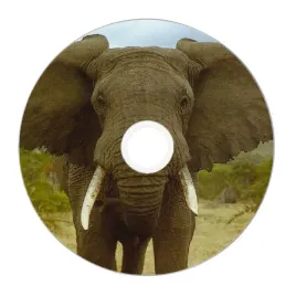 nadruk-na-plycie-maxell-cd-r-80-52x-049