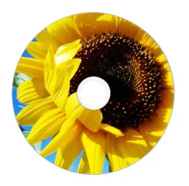 nadruk-na-plycie-maxell-dvd-r-47g-16x-050