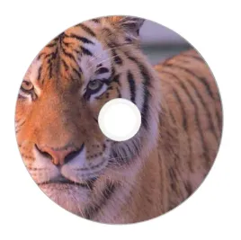 nadruk-na-plycie-maxell-dvd-r-47g-16x-053