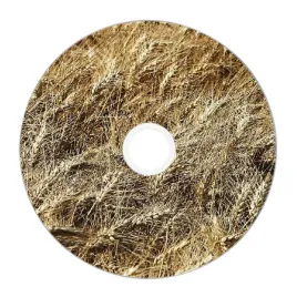 nadruk-na-plycie-maxell-dvd-r-47g-16x-055