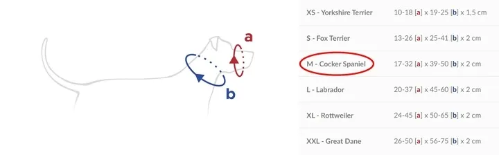 amiplay-obroza-uzdowa-halter-basic-m-czarna