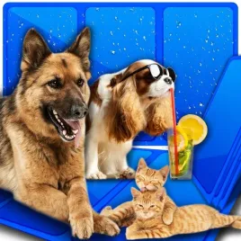 mata-chlodzaca-dla-psa-i-kota-duza-legowisko-xxxl-90x50cm