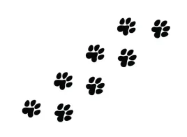 naklejka-na-samochod-psie-kocie-lapki-8-sztuk