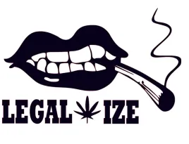 naklejka-na-auto-szybe-legalizacja-m