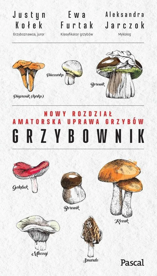 grzybownik