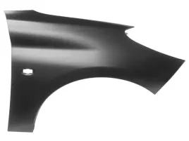 blotnik-przod-peugeot-206-plus-przod-prawy-09-