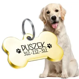adresowka-imie-zawieszka-psa-grawer-pdm-w006-zlota