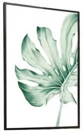 24h-plakat-a3-30x40-monstera-07-bez-ramy
