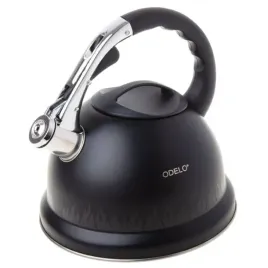 czajnik-stalowy-32l-flann-magic-grube-dno-od2629